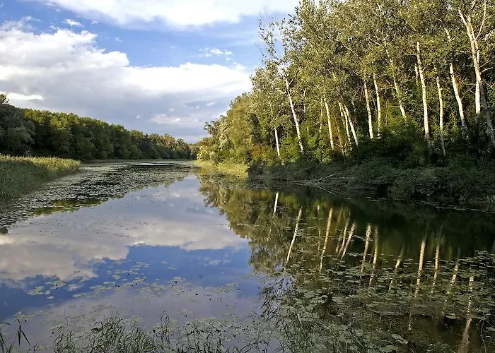 Apart-hotel Reinisch 4*